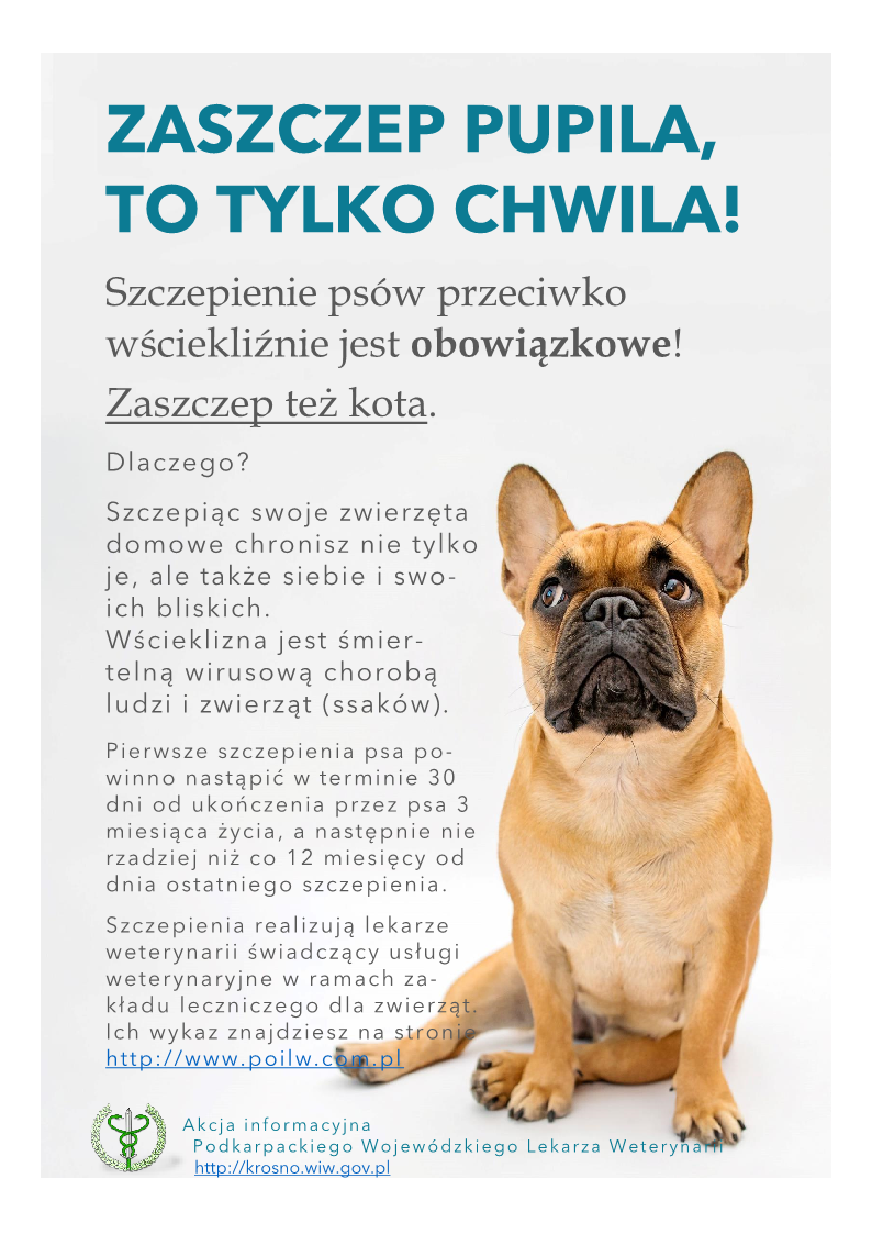 Zaszczep pupula, to tylko chwila! Szczepienie psów przeciwko wściekliźnie jest obowiązkowe! Zaszczep też kota. Dlaczego? Szczepiąc swoje zwierzęta domowe chronisz nie tylko je ale także siebie i swoich bliskich. Wścieklizna jest śmiertelną wirusową chorobą ludzi i zwierząt.