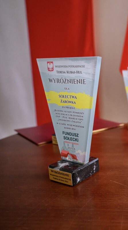 Statuetka dla Sołectwa Żarówka